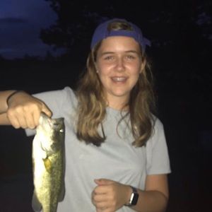 Meet your Posher, Reagan